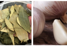 Folha de louro e alho, limpa a casa e atrai boas energias.