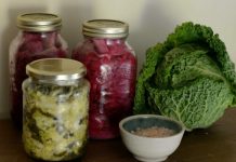 Os alimentos fermentados causam câncer?