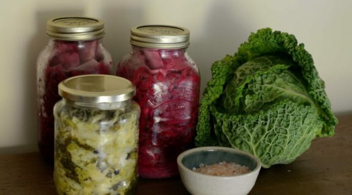 Os alimentos fermentados causam câncer?