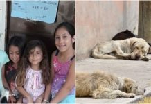 Meninas vendem seus desenhos para comprar comida para cães abandonados.