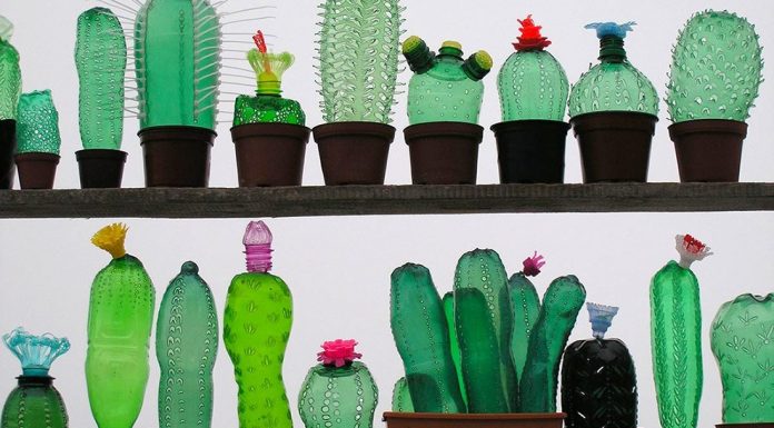 Artista transforma garrafas de plástico em incríveis esculturas de animais e plantas.