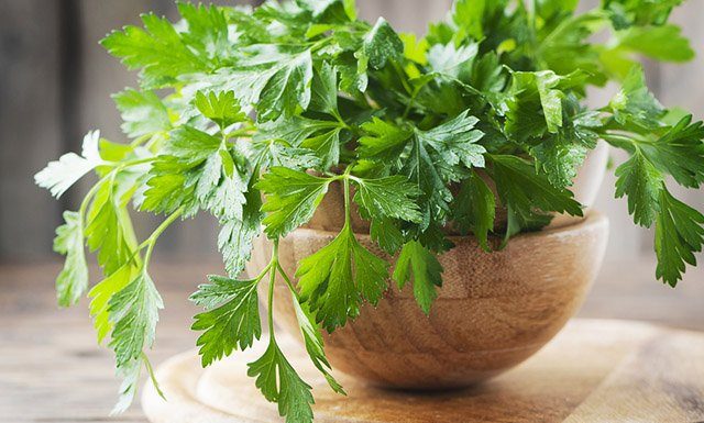 Salsa vai além do alimento – seu melhor amigo para ter um fígado saudável!