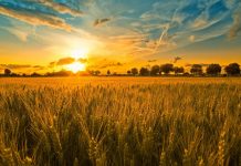 Aprenda a fechar ciclos de acordo com a psicologia de Carl Jung.