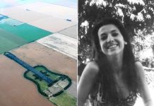 A história do homem que arquitetou um violão com 7.000 árvores: um enorme ato de amor