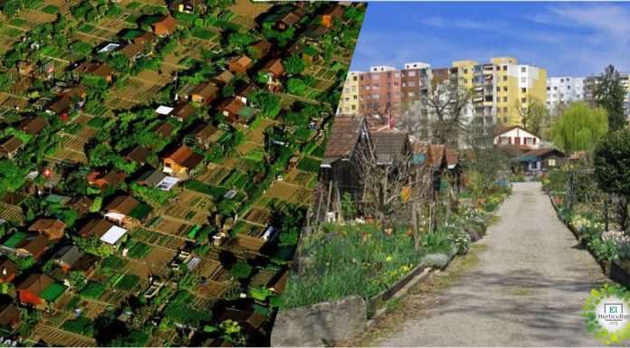 Descubra a cidade Suíça , onde cada habitante tem seu próprio pomar.