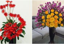 Decoração para sala de estar para atrair ‘dinheiro como água’