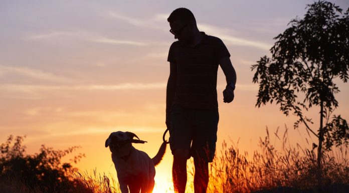 A importância da lealdade.