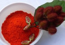 O que você conhece sobre o urucum? Confira seus benefícios à saúde!