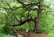 As crianças passam menos tempo ao ar livre do que os presos.