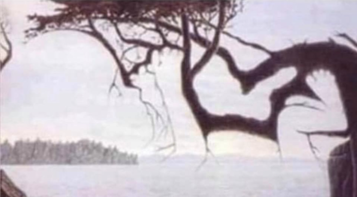 Você consegue encontrar o bebê na foto? Apenas 25% conseguem encontrá-lo.