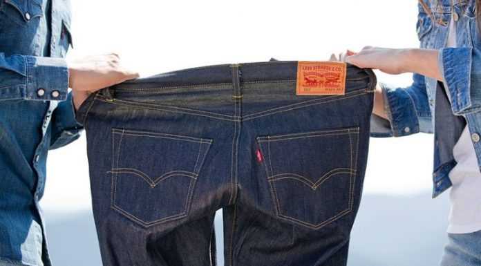 O algodão deixará de ser rei pois o cânhamo está voltando ao jeans Levi’s.