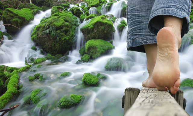 Eco terapia: pode ajudar a reduzir a depressão, a raiva, a ansiedade e o estresse.