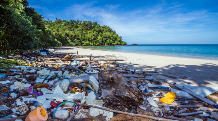 Nossos avós sabiam viver sem plástico: um mundo sem ele é possível.