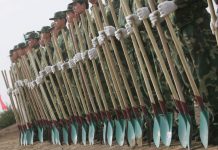 China pede às tropas que abaixem suas armas, peguem suas pás e plantem árvores