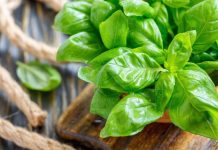 7 maneiras incomuns de usar manjericão na cozinha.