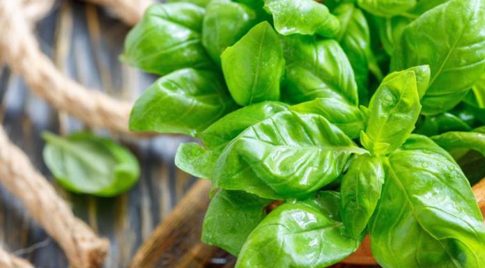 7 maneiras incomuns de usar manjericão na cozinha.