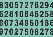 Somente pessoas com QI entre 110 e 125 podem encontrar o número 868 mais de uma vez em 10 segundos!