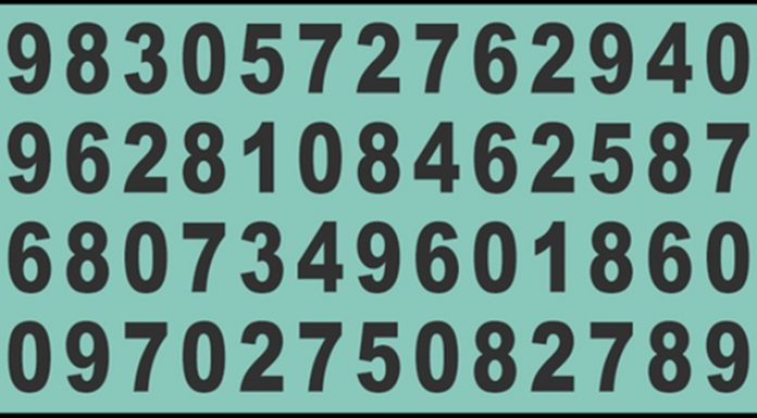 Somente pessoas com QI entre 110 e 125 podem encontrar o número 868 mais de uma vez em 10 segundos!