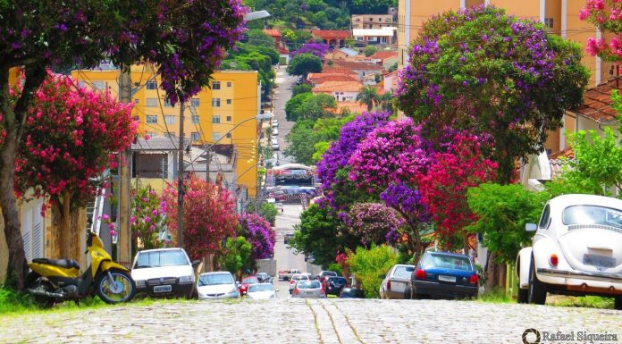 Estudo: Quanto mais árvores estamos cercados, menores nossos níveis de estresse
