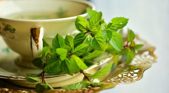 Por que dar dinheiro para remédios? é só beber chá de menta!