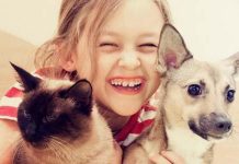 Inteligência emocional e compaixão seriam mais desenvolvidas em crianças que crescem com animais