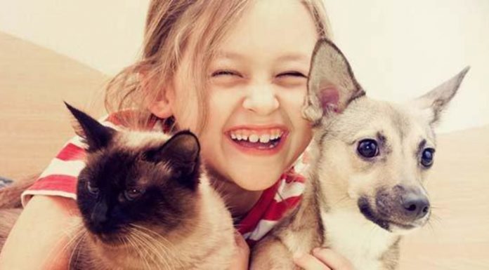 Inteligência emocional e compaixão seriam mais desenvolvidas em crianças que crescem com animais
