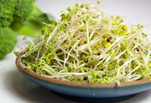 Brotos de brócolis podem ajudar a controlar a esquizofrenia.