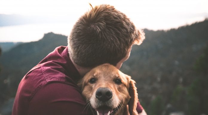 A missão do cachorro na nossa vida