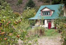 Estudo: Morar na natureza protege contra doenças mentais, enquanto morar na cidade aumenta o risco.