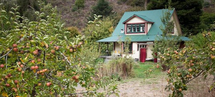Estudo: Morar na natureza protege contra doenças mentais, enquanto morar na cidade aumenta o risco.