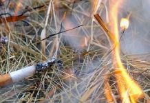 “Este pequeno gesto que faz de você um grande idiota!”: discurso justificado dos bombeiros de Hérault.