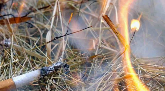 “Este pequeno gesto que faz de você um grande idiota!”: discurso justificado dos bombeiros de Hérault.