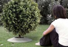 Poetree: A urna funerária que permite plantar uma árvore nas cinzas