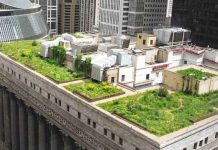 Todos os novos telhados devem ser cobertos em plantas ou painéis solares na França.