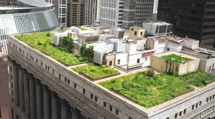 Todos os novos telhados devem ser cobertos em plantas ou painéis solares na França.