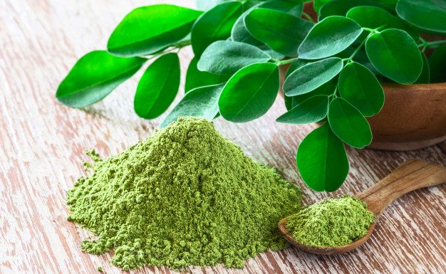 Propriedades incríveis de moringa, a árvore milagrosa.