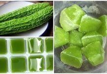 Melão amargo é bom, mas se congelado e esfregado no rosto será eficaz 5 vezes mais que o normal.