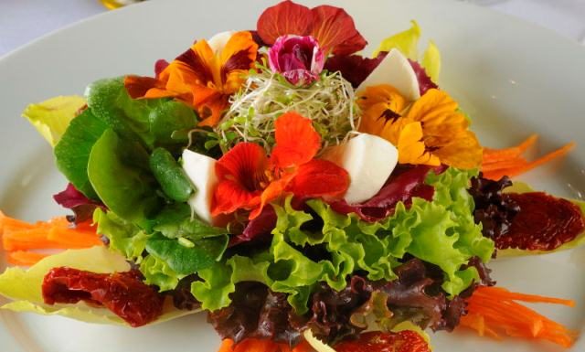 Saiba mais sobre o valor nutritivo das flores comestíveis