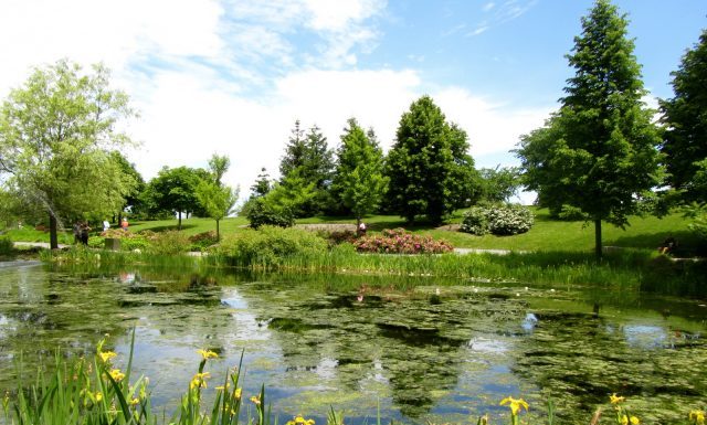 2 horas de natureza por semana, a dose mínima de bem-estar.
