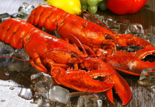 Suíça: não é mais permitido mergulhar uma lagosta em água fervente.