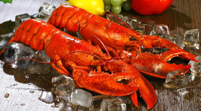 Suíça: não é mais permitido mergulhar uma lagosta em água fervente.