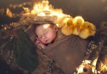 Fotos tocantes de bebês recém-nascidos abraçando animais bebês.