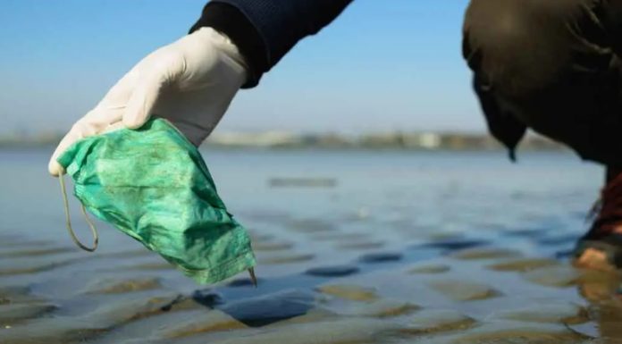 Ambientalistas estão cansados de pegar luvas e máscaras descartáveis nas praias.