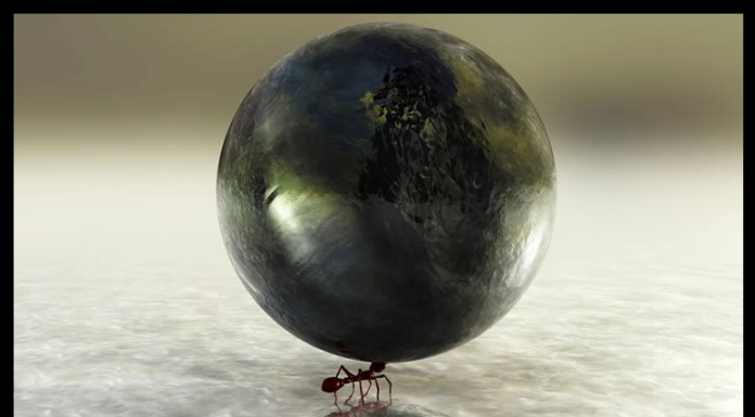 Parábola da formiga desmotivada.