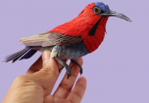 Artista usa papel para recriar espécies de aves em todo o mundo.