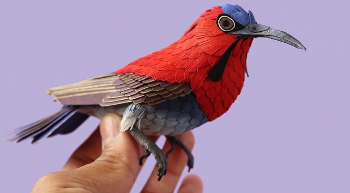 Artista usa papel para recriar espécies de aves em todo o mundo.