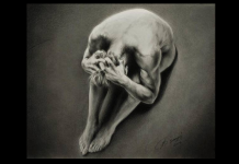 Teste: o que você vê primeiro diz muito sobre sua personalidade