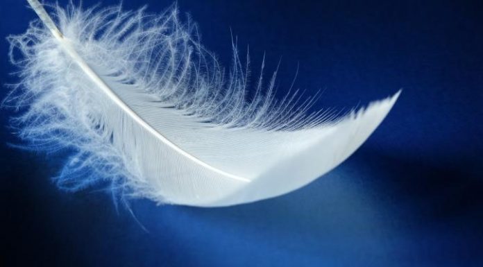 Anjos sinais e mensagens: penas, cheiros, sons? Como eles se manifestam e se comunicam conosco?