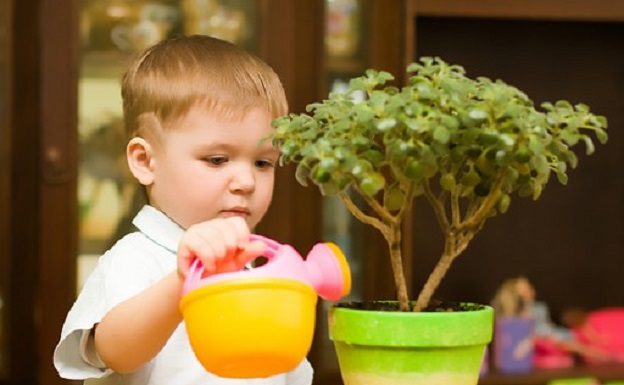 Funções domésticas para cada idade: Um ensino indispensável