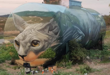 Artista urbano transforma tanque de gasolina em ilusão de ótica com um gato à espreita